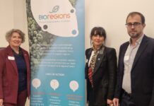 Castilla-La Mancha pide apoyo europeo para impulsar la captura de carbono con labores de prevención de incendios forestales