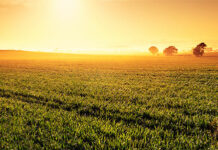 ASAJA Ciudad Real lamenta la predisposición de los sindicatos a que no haya entendimiento para la negociación