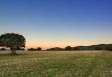 La Junta convoca las ayudas para empresas, particulares y entidades sin ánimo de lucro de las áreas de influencia de Cabañeros y Las Tablas de Daimiel