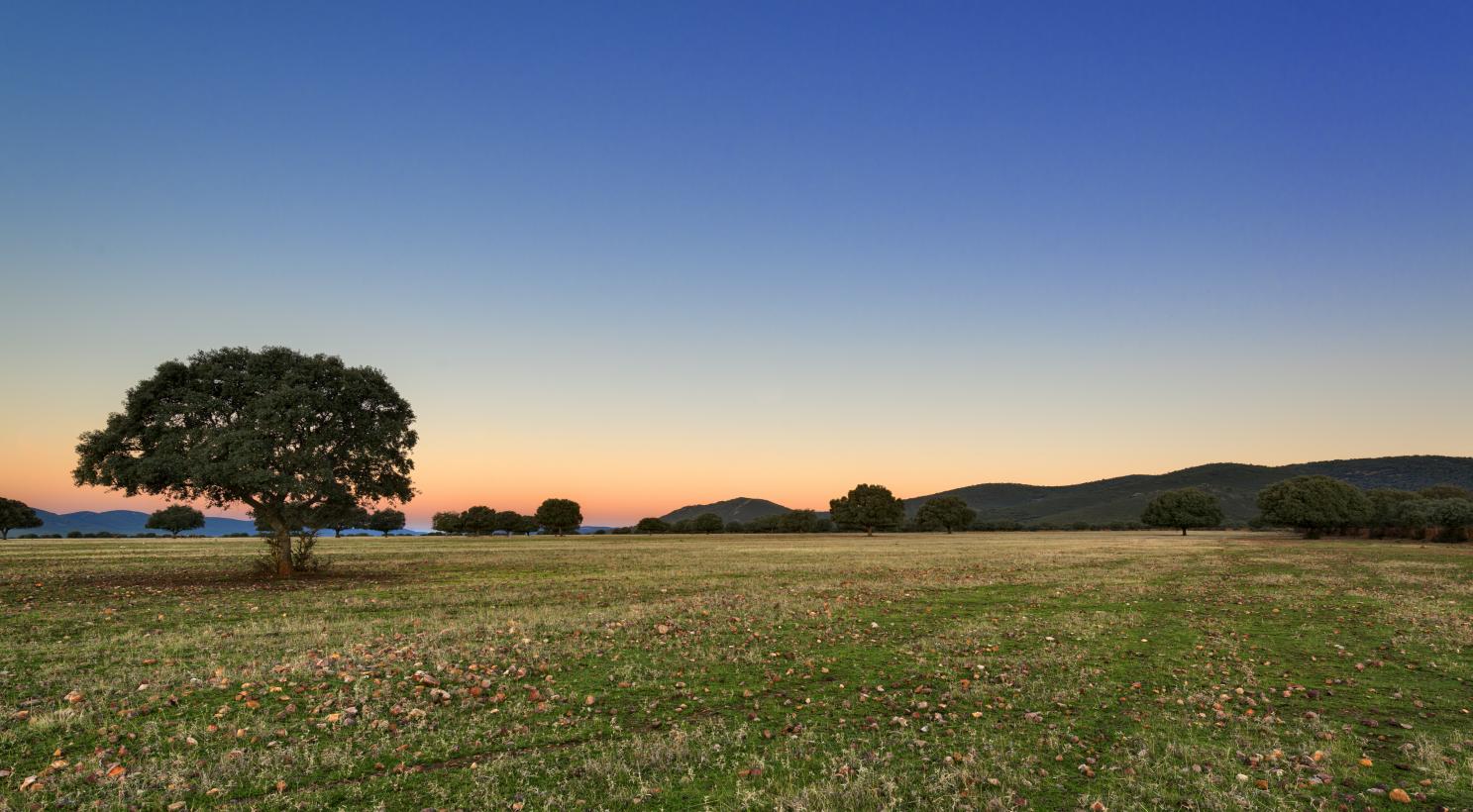 La Junta convoca las ayudas para empresas, particulares y entidades sin ánimo de lucro de las áreas de influencia de Cabañeros y Las Tablas de Daimiel