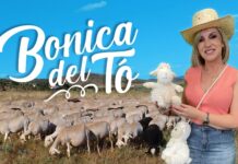 Gran estreno del talent “Bonica del tó” este domingo en Castilla-La Mancha Media