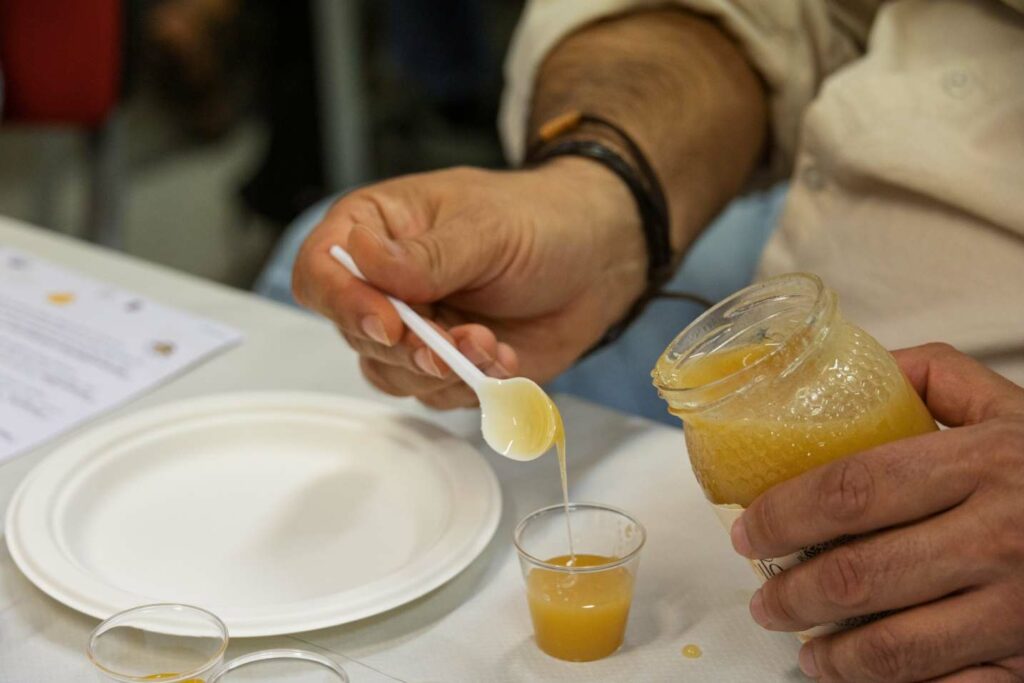 cata de mieles casa de medrano 12