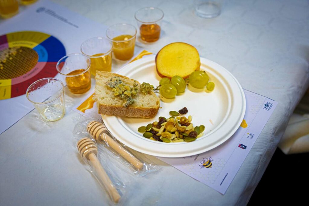 cata de mieles casa de medrano 3