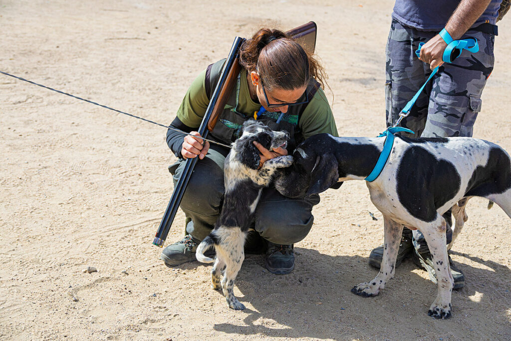 caza menor con perro 11