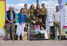 Argamasilla de Alba acoge el XII Campeonato de España Femenino de Caza Menor con Perro