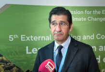 Castilla-La Mancha pide a Europa asegurar la inversión para redes de distribución de energía que contribuirían al desarrollo de la región