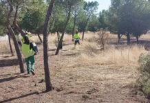 El polígono Los Portales inmerso en labores de poda y desbroce