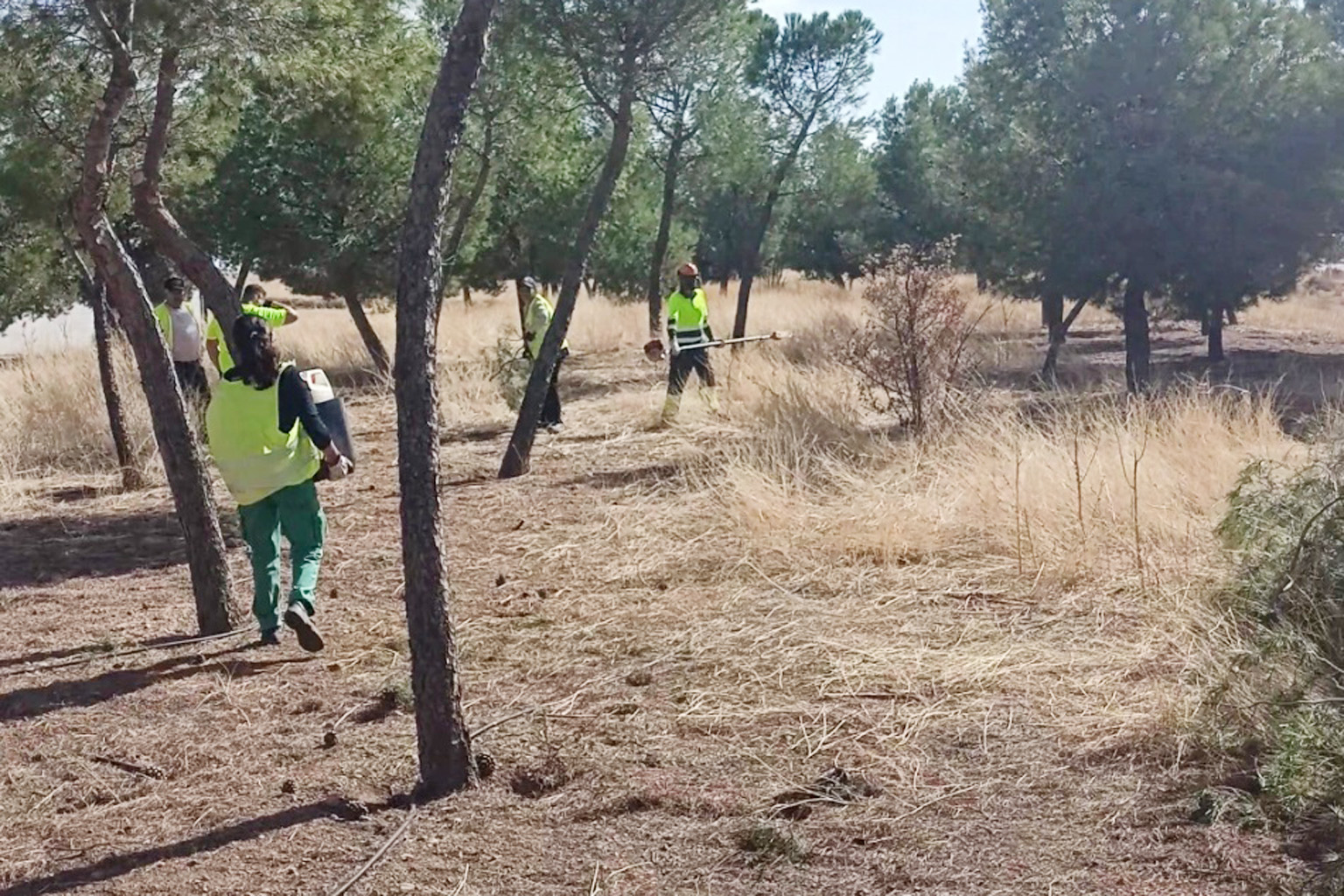 El polígono Los Portales inmerso en labores de poda y desbroce
