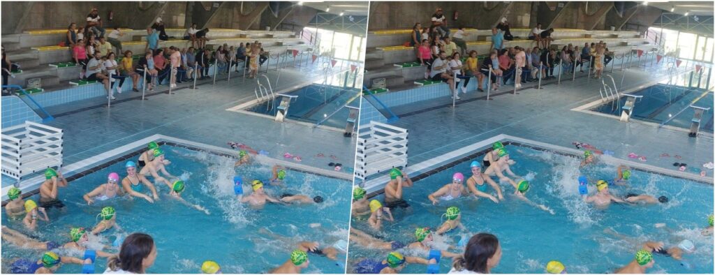 emocion inclusion exhibicion delfines 12