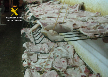 establecimiento ilegal productos carnicos 1