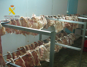 establecimiento ilegal productos carnicos 2 1