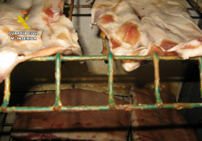 establecimiento ilegal productos carnicos 4 1