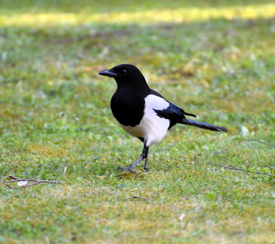 Estampas de mi barrio