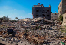 La libertad recuperada no devuelve la inocencia