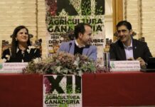 La Junta habrá abonado a fin de mes más de 354 millones de anticipos de la PAC, ecorregímenes y ayudas a la superficie