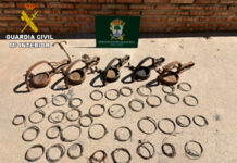 Sangrienta caza furtiva al descubierto: más de 30 lazos letales incautados por el SEPRONA en pleno corazón de la provincia de Ciudad Real