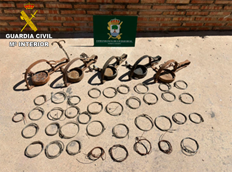 Sangrienta caza furtiva al descubierto: más de 30 lazos letales incautados por el SEPRONA en pleno corazón de la provincia de Ciudad Real