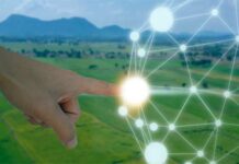 Castilla-La Mancha recibe 8 millones de euros para la puesta en marcha de una plataforma de espacios de datos e IA para el sector agroalimentario