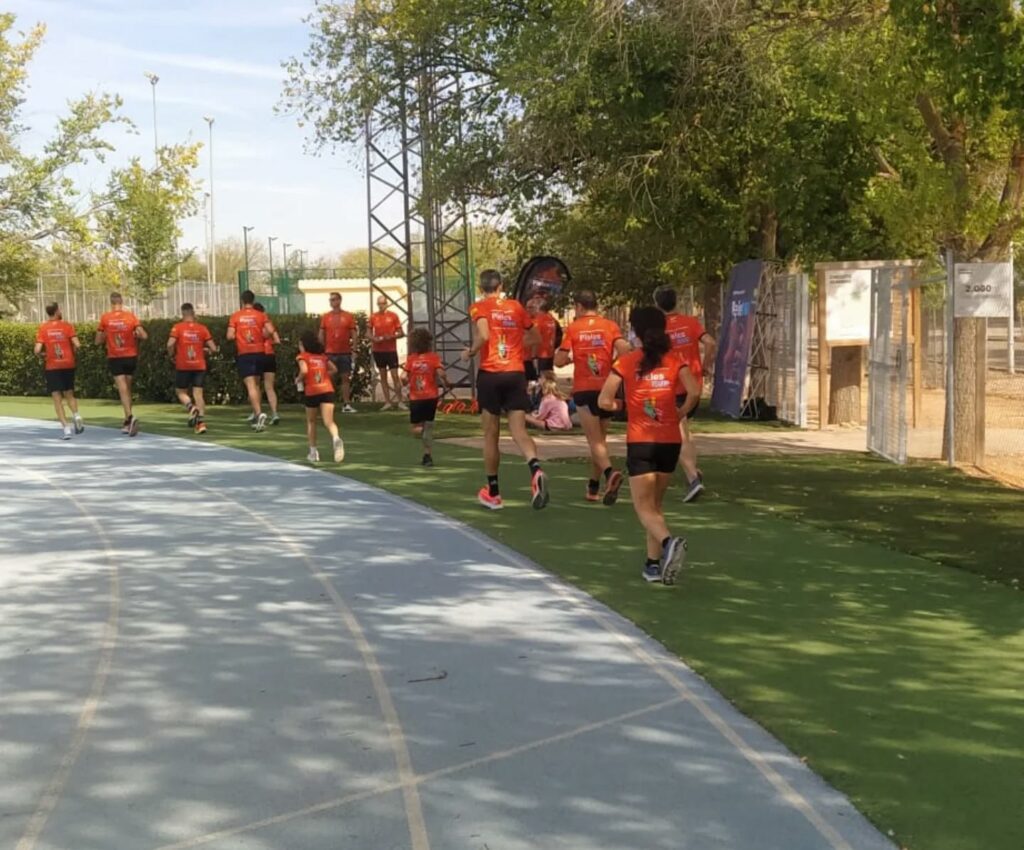 pielesrunafinanmotores 4