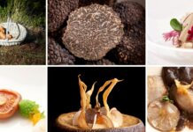 Un placer micológico que solo puedes vivir en Castilla-La Mancha