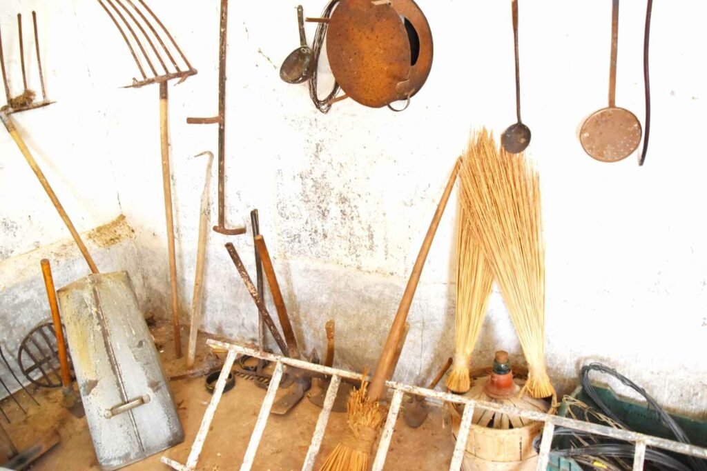 reencuentro con la vitivinicultura manchega gracias a primitivo cabezas y angel bernao 025