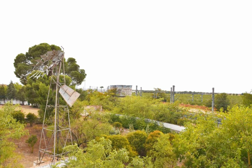 reencuentro con la vitivinicultura manchega gracias a primitivo cabezas y angel bernao 031