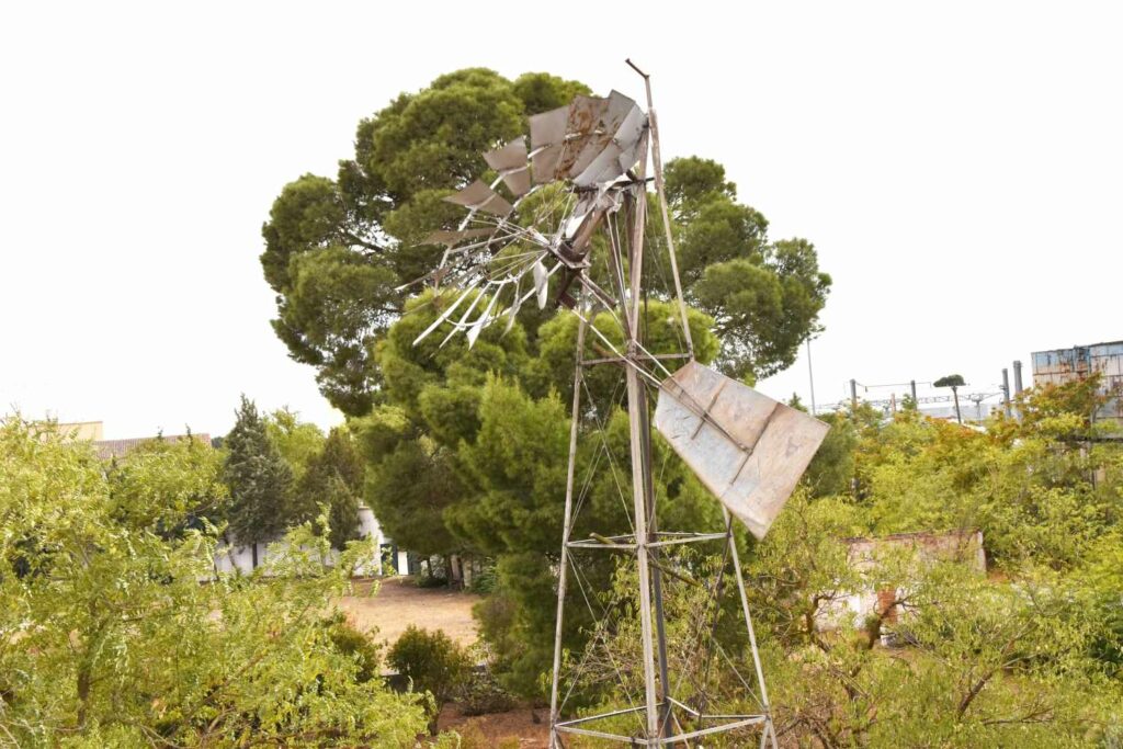reencuentro con la vitivinicultura manchega gracias a primitivo cabezas y angel bernao 033