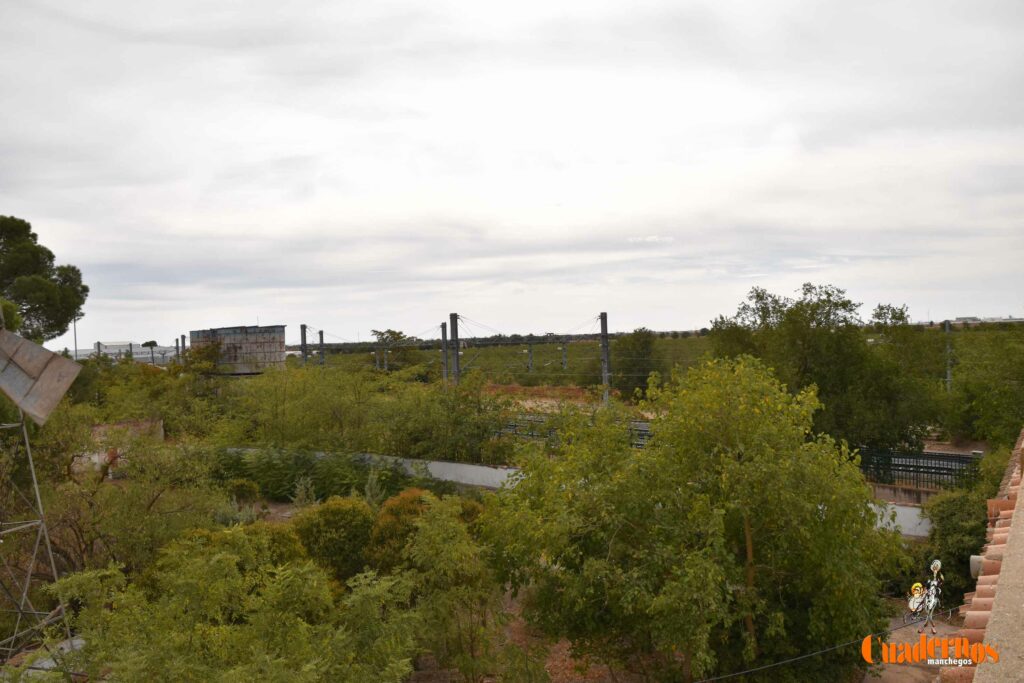 reencuentro con la vitivinicultura manchega gracias a primitivo cabezas y angel bernao 034