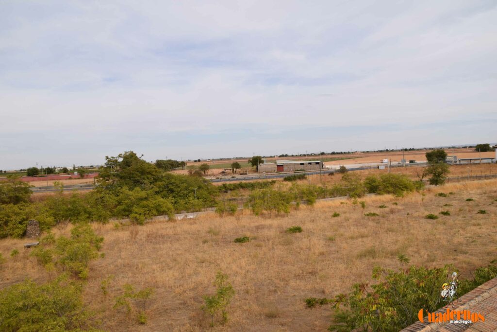 reencuentro con la vitivinicultura manchega gracias a primitivo cabezas y angel bernao 035