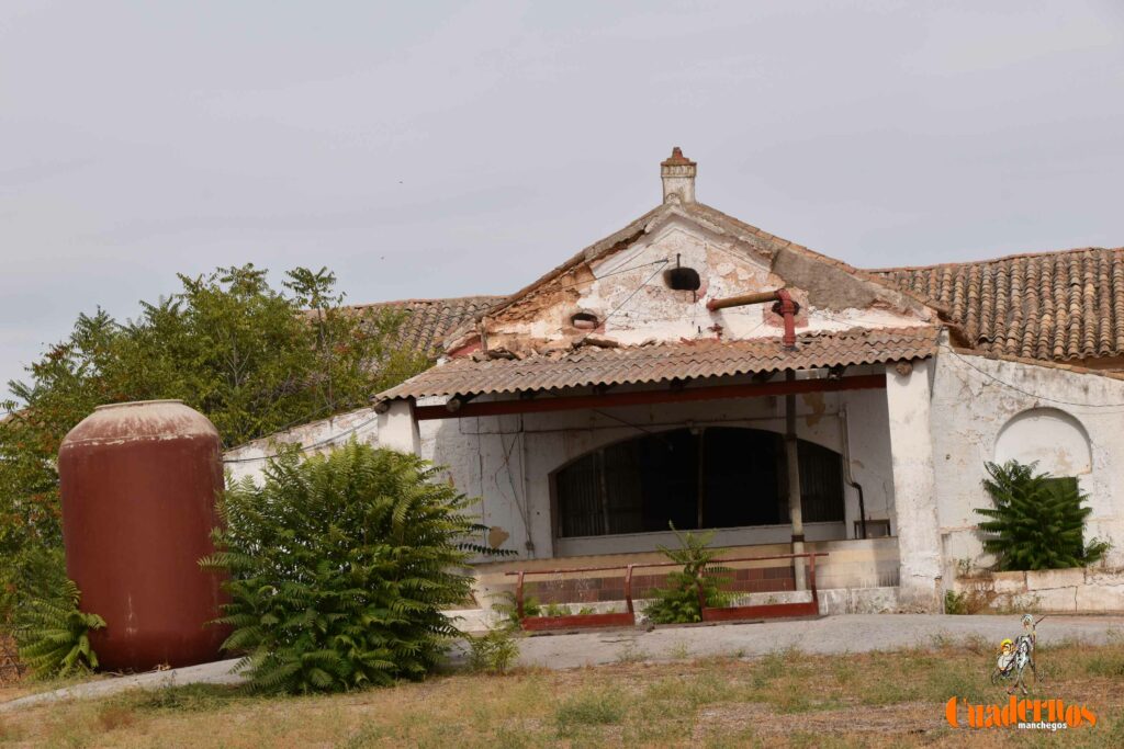 reencuentro con la vitivinicultura manchega gracias a primitivo cabezas y angel bernao 038