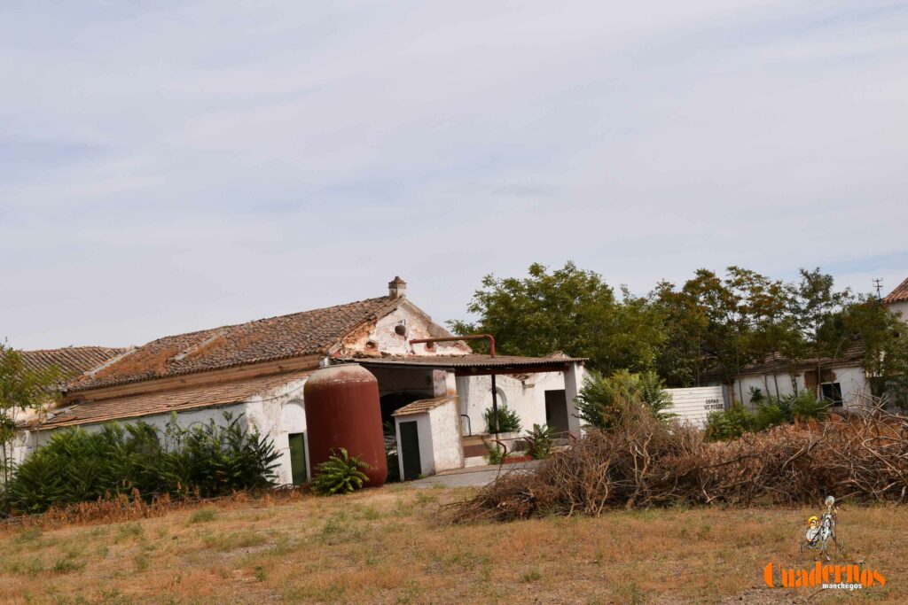 reencuentro con la vitivinicultura manchega gracias a primitivo cabezas y angel bernao 041