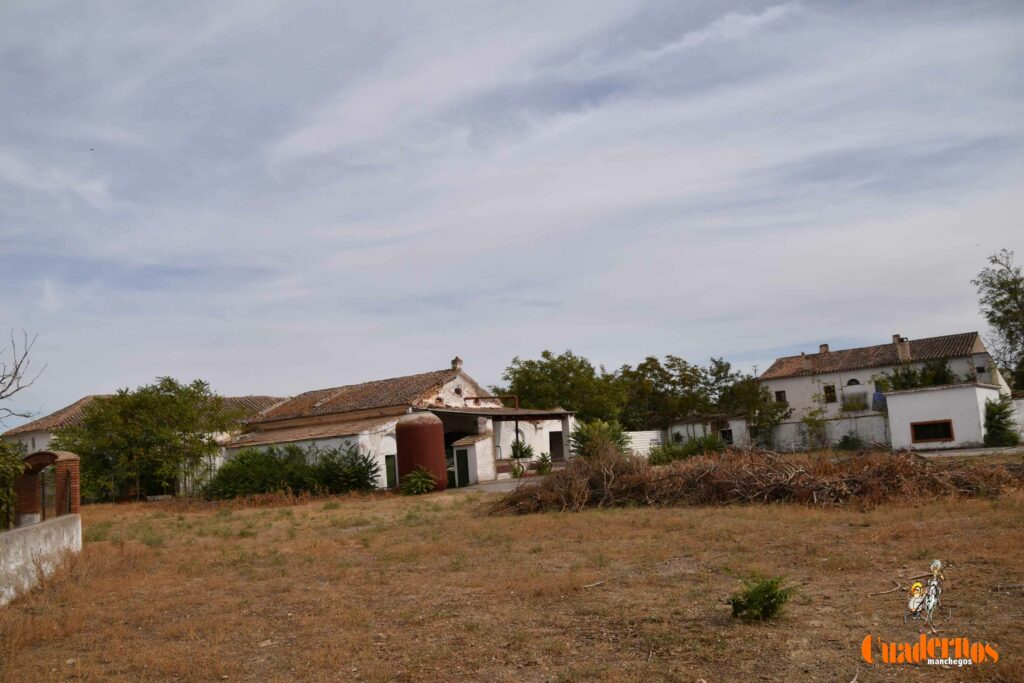 reencuentro con la vitivinicultura manchega gracias a primitivo cabezas y angel bernao 042