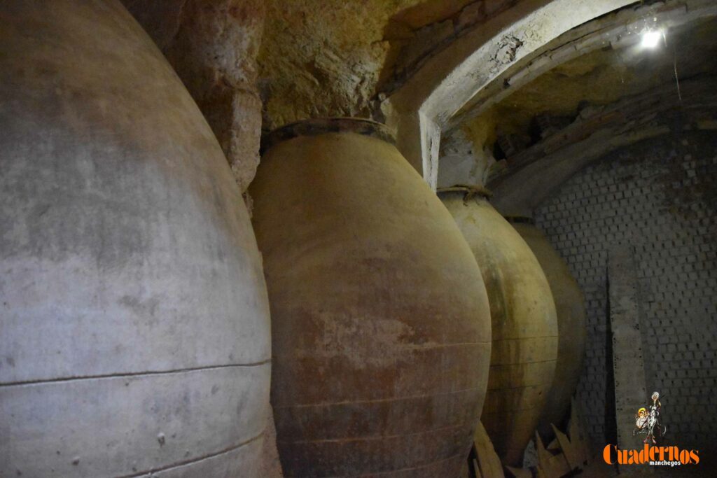 reencuentro con la vitivinicultura manchega gracias a primitivo cabezas y angel bernao 056