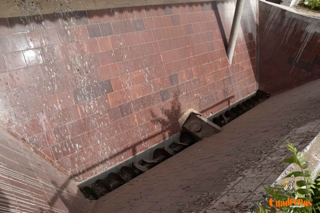 reencuentro con la vitivinicultura manchega gracias a primitivo cabezas y angel bernao 072