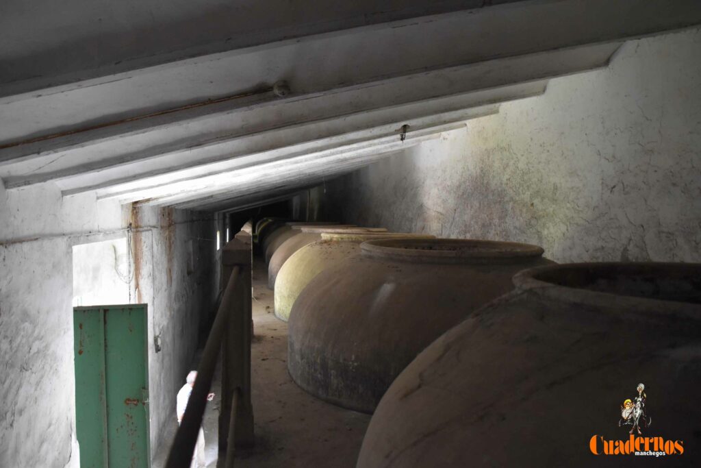 reencuentro con la vitivinicultura manchega gracias a primitivo cabezas y angel bernao 086