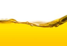 Tomelloso acoge el taller ‘El aceite de oliva, el oro líquido de nuestro tiempo’