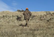 Hoy se abre la temporada hábil de caza menor y mayor en Castilla-La Mancha