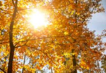 El tiempo en Castilla-La Mancha para hoy 28 de octubre: lluvias, vientos y temperaturas variables