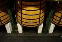 Unión de Uniones confía que la reducción de la cosecha pueda subir algo los precios del vino