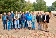 VOX defiende en todas las instituciones donde tiene representación la soberanía alimentaria y exige medidas urgentes para salvar el campo español