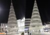 El espíritu navideño llega a Tomelloso con su majestuoso árbol El espíritu navideño llega a Tomelloso con su majestuoso árbol de Navidad