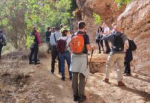 Arqueólogos de toda España analizan el potencial del arte rupestre de la Sierra del Segura como destino arqueológico europeo