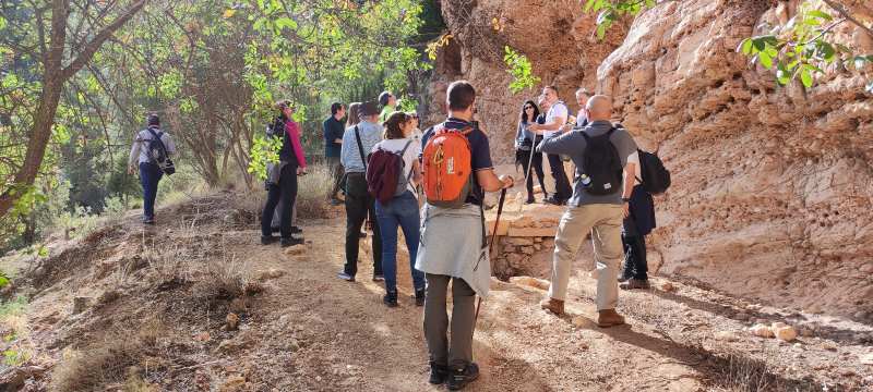 Arqueólogos de toda España analizan el potencial del arte rupestre de la Sierra del Segura como destino arqueológico europeo
