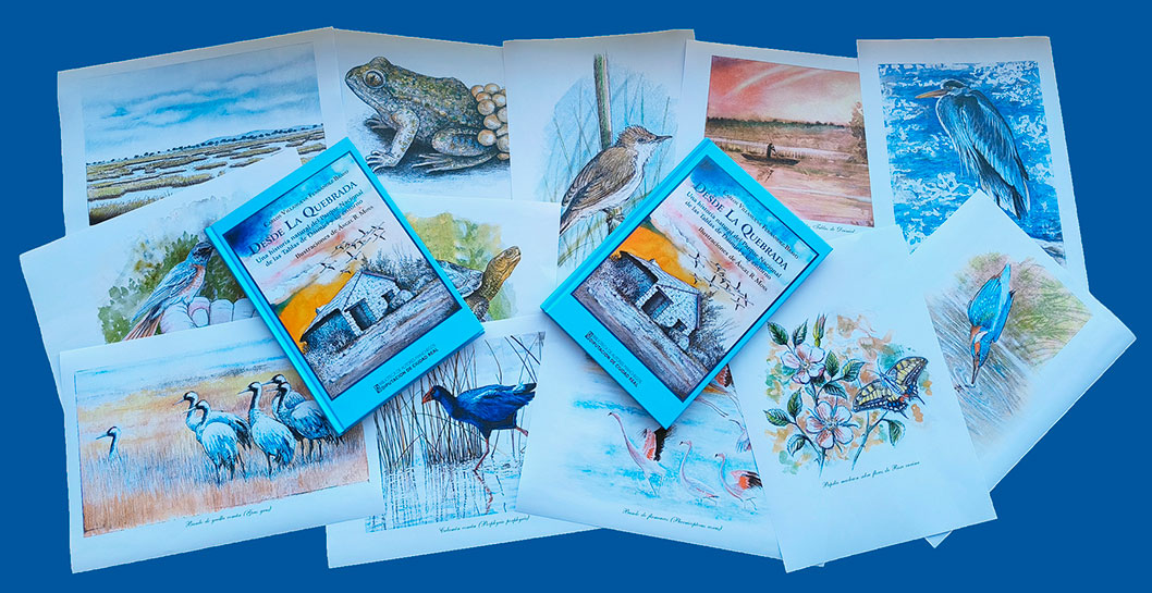 La BAM presenta el libro de Carlos Villanueva “Desde La Quebrada. Una historia natural del Parque Nacional de las Tablas de Daimiel y su entorno”