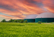 Ecologistas en Acción denuncia una tercera planta de biogás en Fuente Álamo