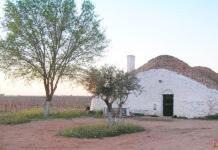 Tomelloso, tierra de bombos: un patrimonio rural que no debemos dejar desaparecer (IV)