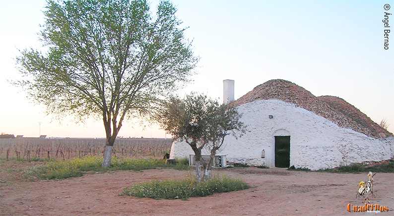 Tomelloso, tierra de bombos: un patrimonio rural que no debemos dejar desaparecer (IV)