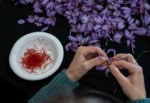 Los Caminos del Azafrán de La Mancha celebra en Villafranca de los Caballeros su segundo Encuentro Gastroturístico