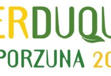 Convocan un concurso para elegir la imagen del cartel anunciador de FERDUQUE 2026