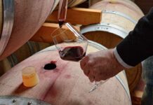 Castilla-La Mancha celebra el Día del Enólogo poniendo en valor la profesión y su futuro